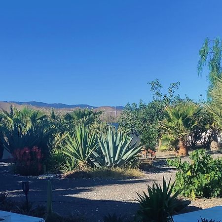 Cortijo Oro Verde B&B Табернас Екстериор снимка