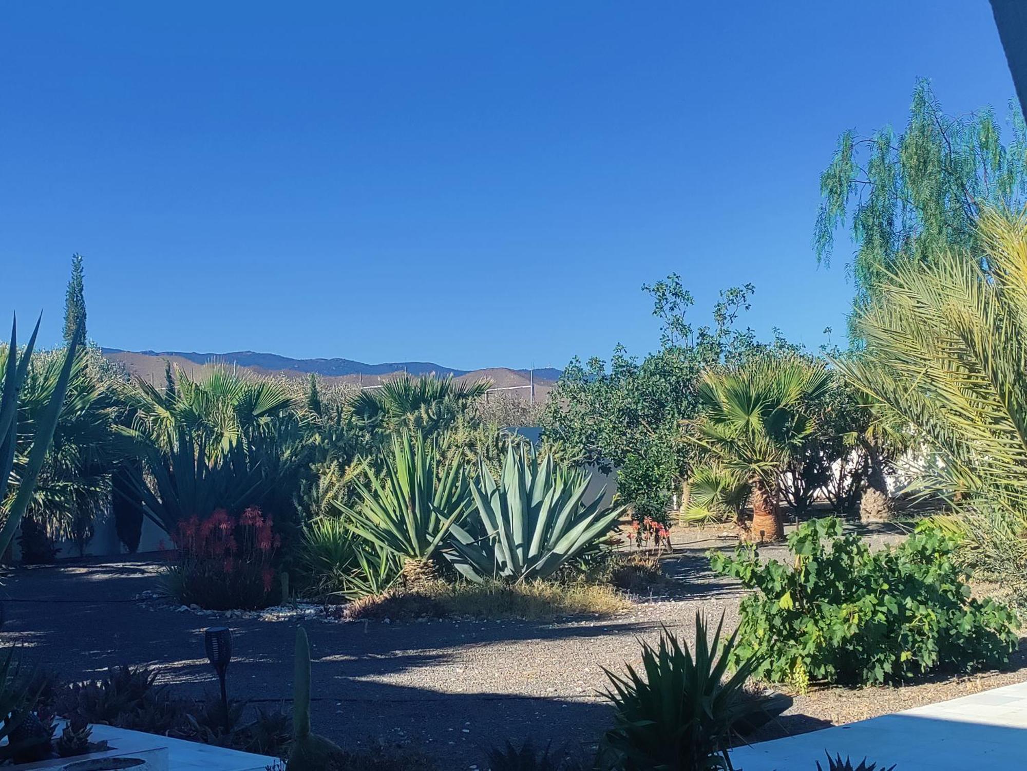 Cortijo Oro Verde B&B Табернас Екстериор снимка