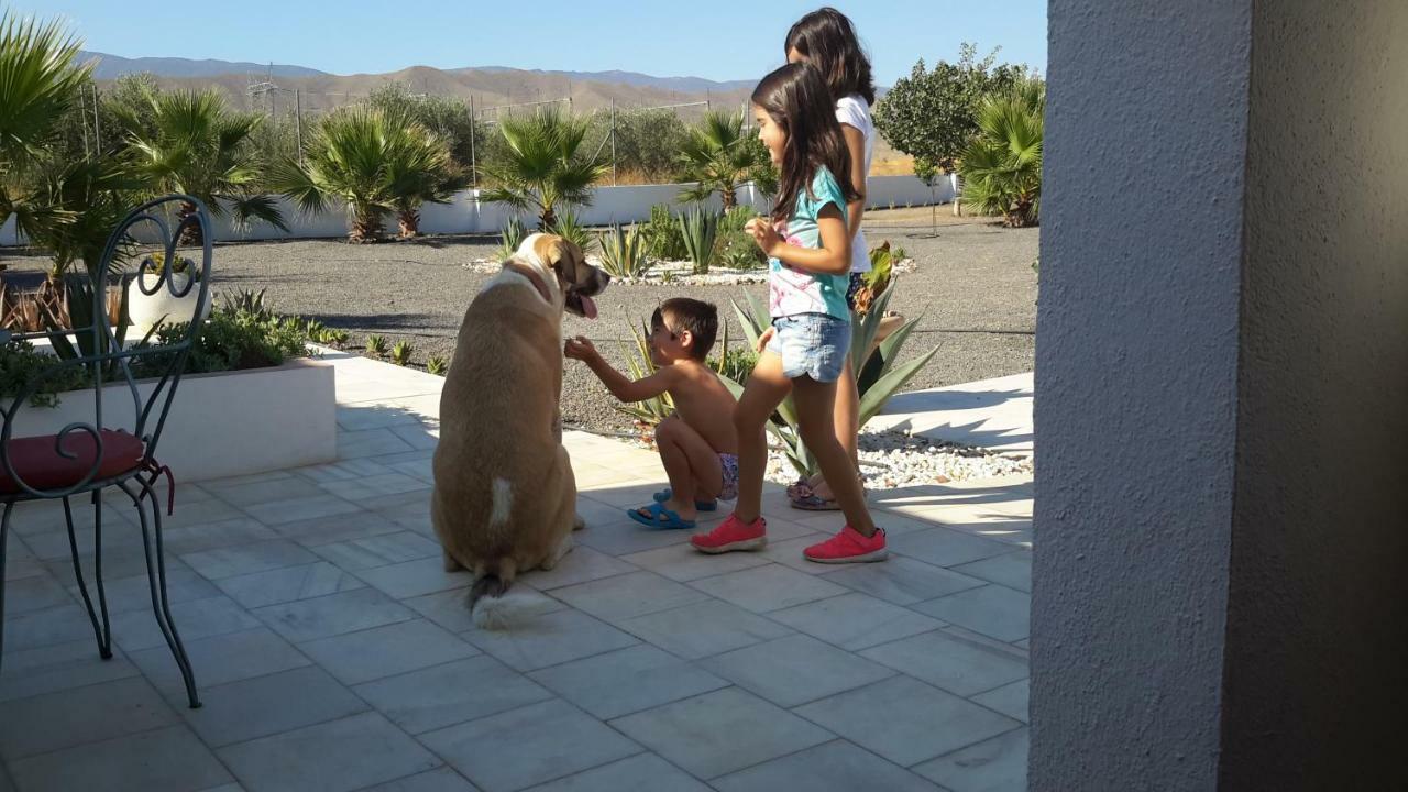 Cortijo Oro Verde B&B Табернас Екстериор снимка
