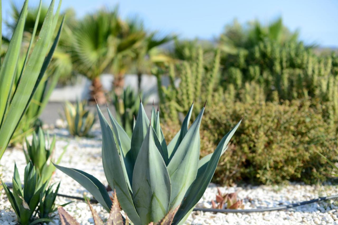 Cortijo Oro Verde B&B Табернас Екстериор снимка